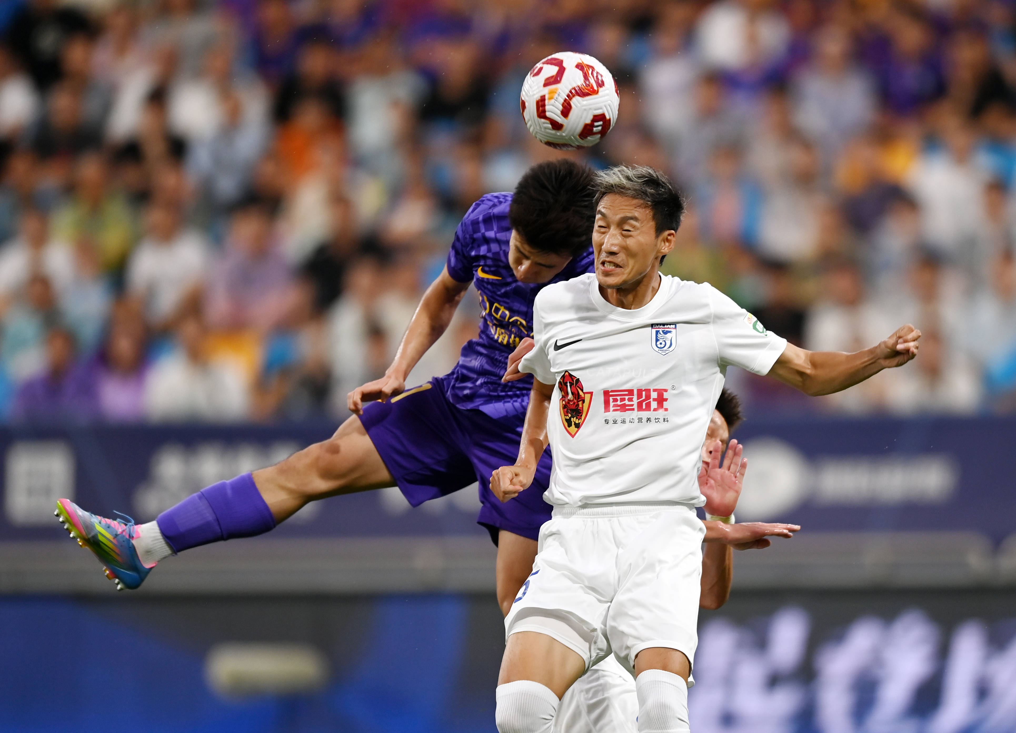 性极高的配 性极高的配