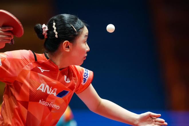 当一朵花引 当一朵花引